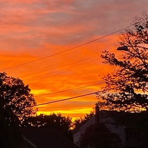 Meet your Posher, Veronica